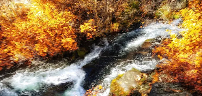 Lower Canyon Creek Campground Picture 2