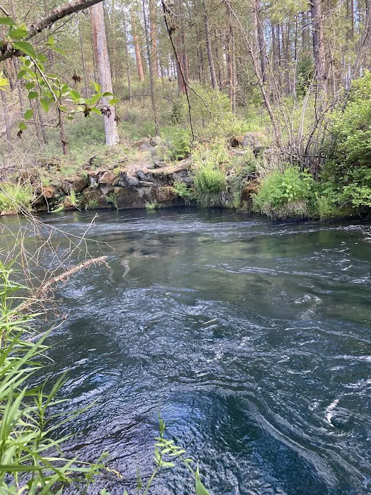 Lower Canyon Creek Campground Picture 7