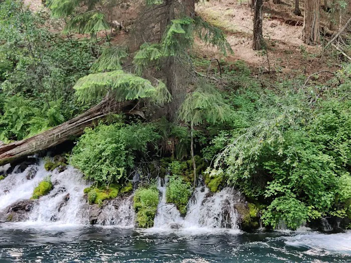 Lower Canyon Creek Campground Picture 8