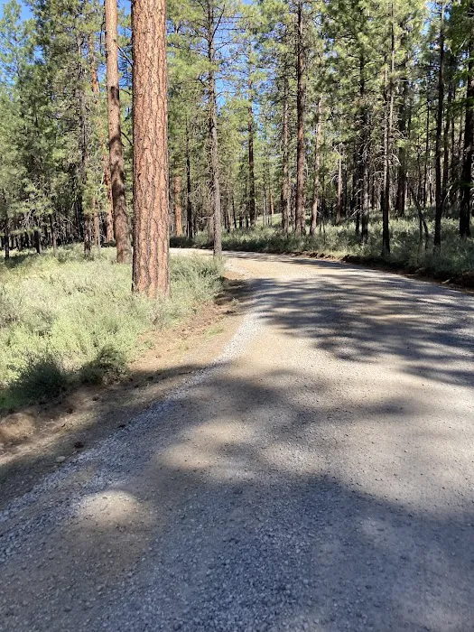 Lower Canyon Creek Campground Picture 10