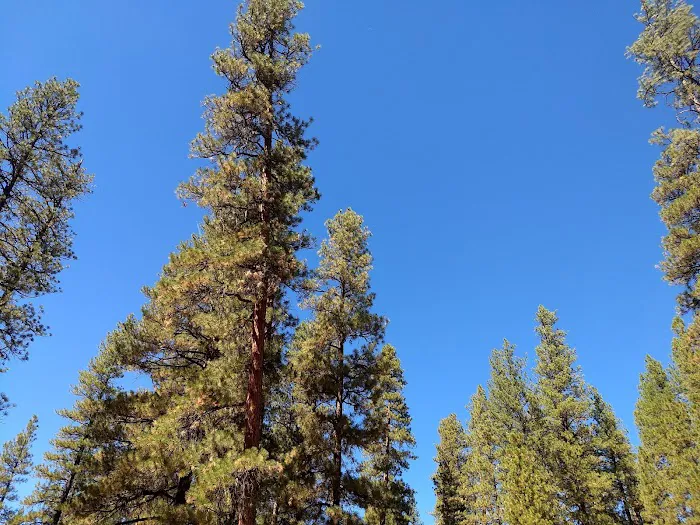 Lower Canyon Creek Campground Picture 4