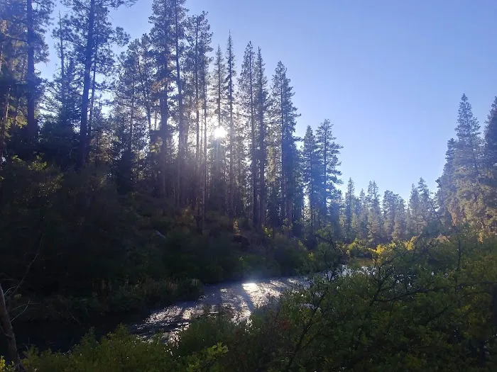 Lower Canyon Creek Campground Picture 1