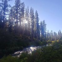 Lower Canyon Creek Campground ico