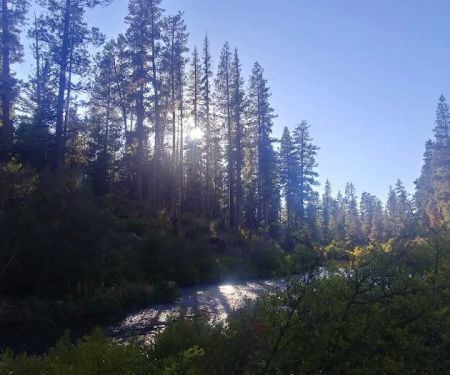 Lower Canyon Creek Campground