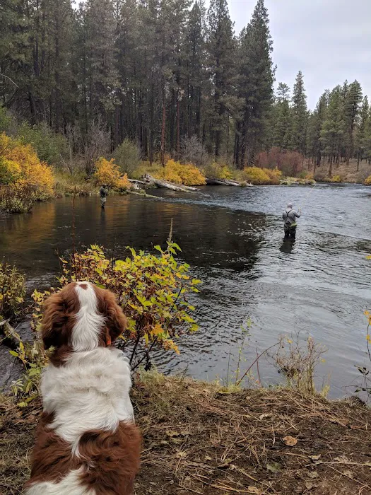 Lower Canyon Creek Campground Picture 9