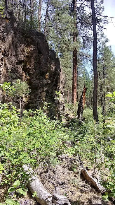 Gorge Campground Picture 3