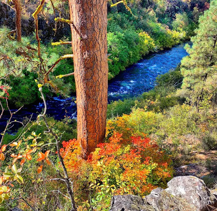Gorge Campground Picture 9