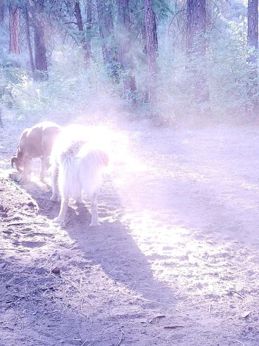 Gorge Campground Picture 5