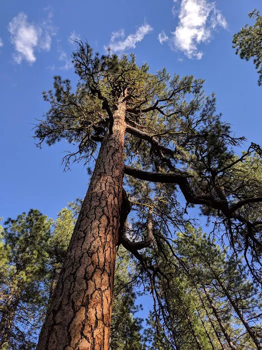 Gorge Campground Picture 6