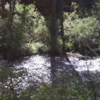 Gorge Campground ico