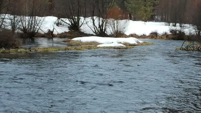 Pine Rest Campground Picture 4