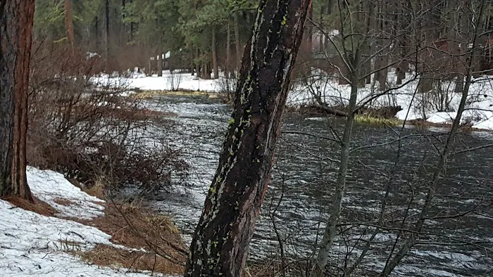 Pine Rest Campground Picture 6