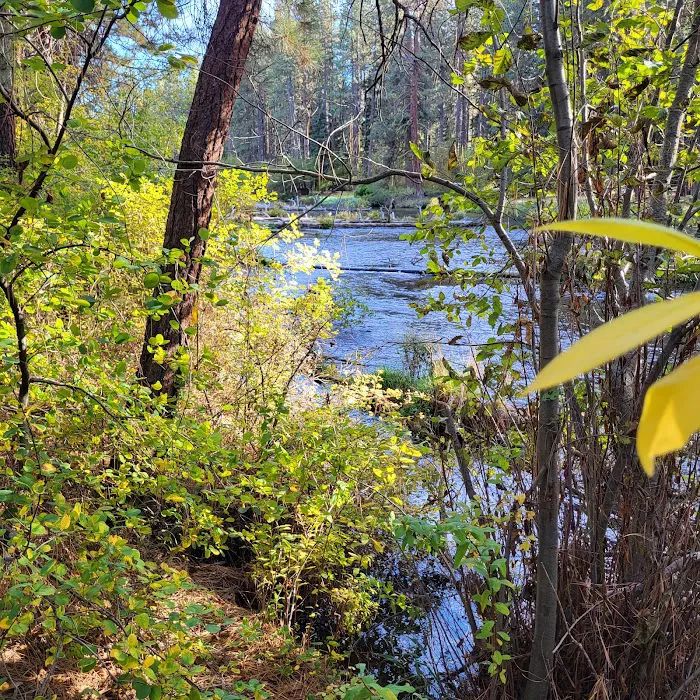 Pine Rest Campground Picture 9