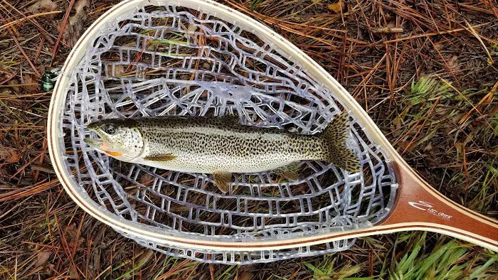 Pine Rest Campground Picture 7