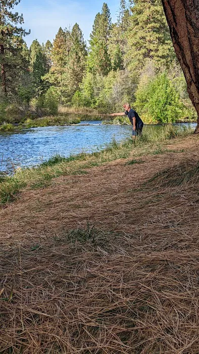 Pine Rest Campground Picture 1