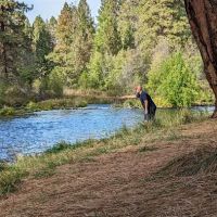 Pine Rest Campground ico