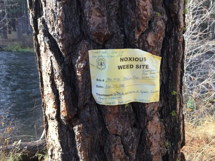 Pine Rest Campground Picture 3