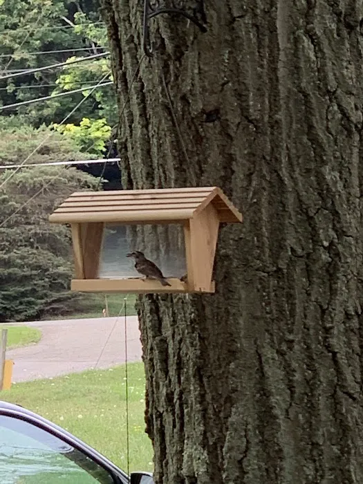 Forest Park Estates Picture 1