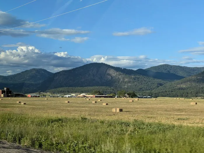 Chewelah Golf and Country Club RV Park Picture 4