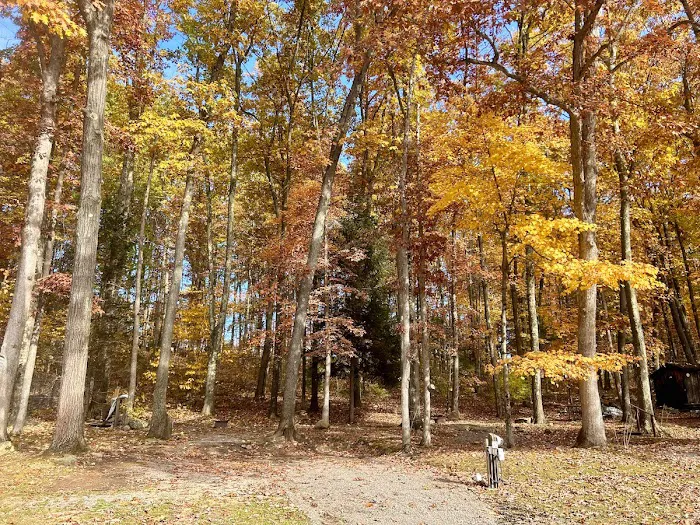 Rustic Acres RV Resort and Campground Picture 9