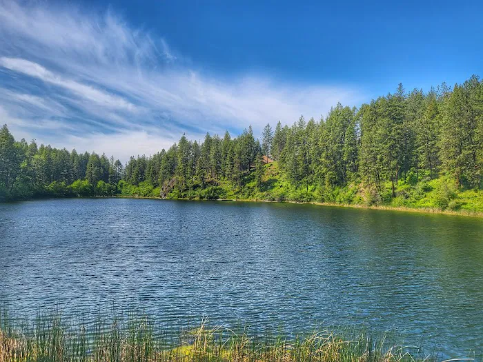 Rocky Lake DNR Campground Picture 3