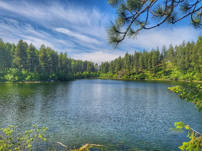 Rocky Lake DNR Campground Picture 8