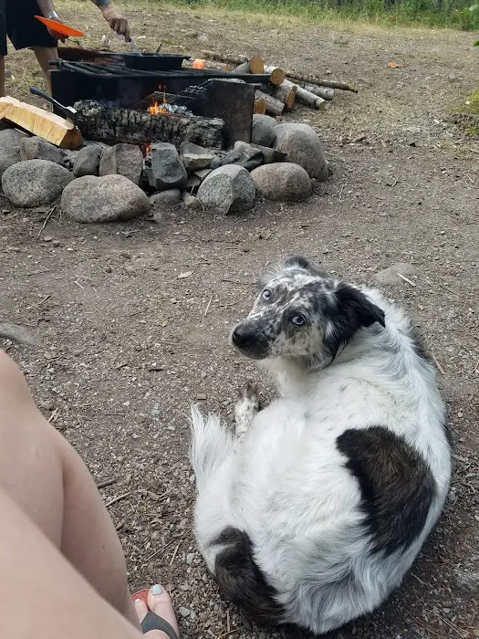 Sheep Creek Campground Picture 4
