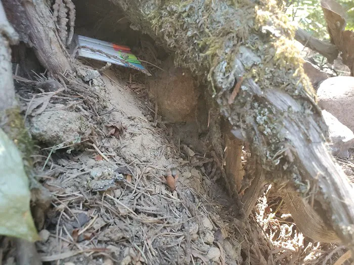 Sheep Creek Campground Picture 2