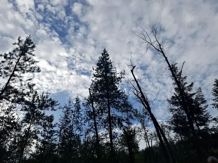 Sheep Creek Campground Picture 1