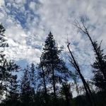 Sheep Creek Campground