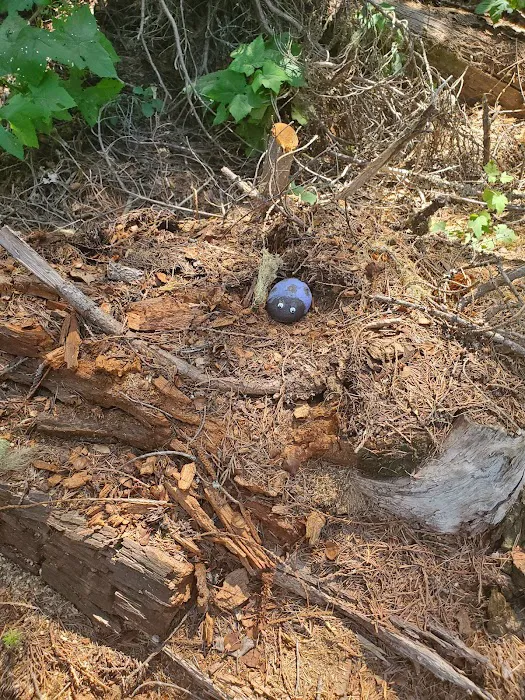 Sheep Creek Campground Picture 5