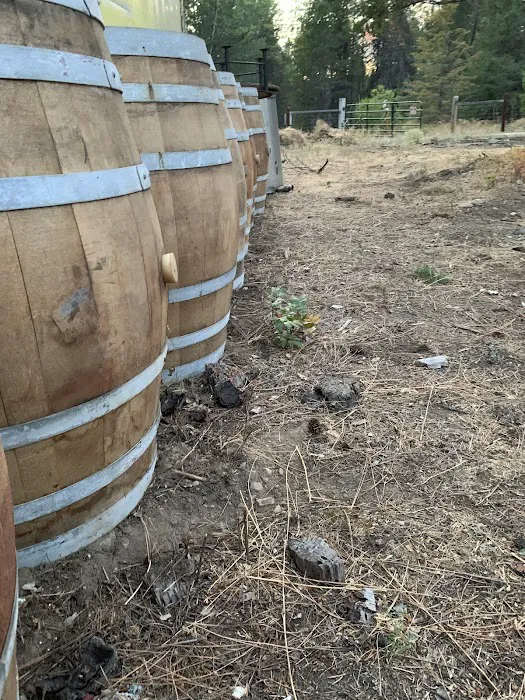 Dragonfly Ranch Picture 7