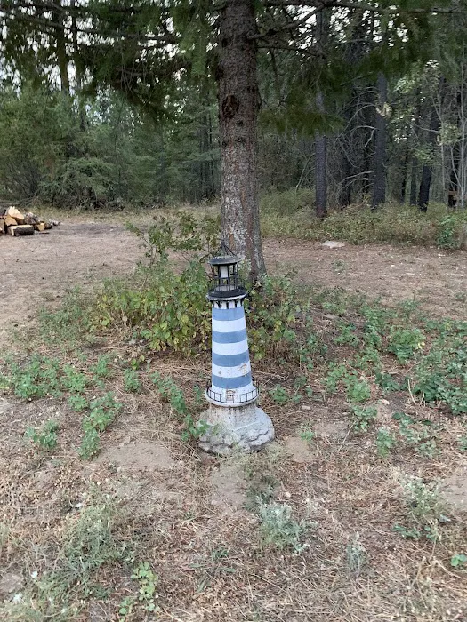 Dragonfly Ranch Picture 6