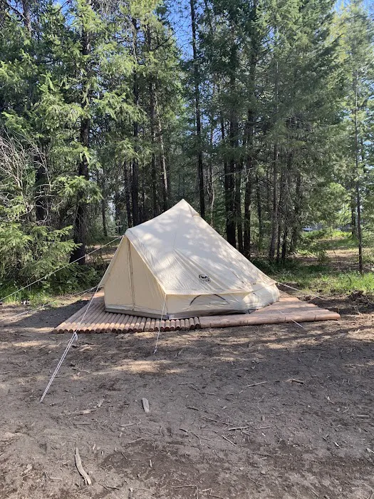 Dragonfly Ranch Picture 5