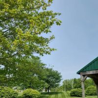 Leaders Properties ico