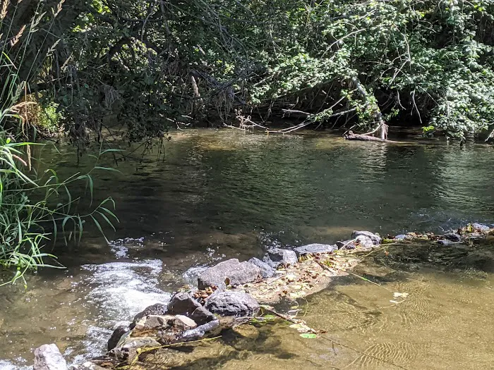 Dragoon Creek Picture 6