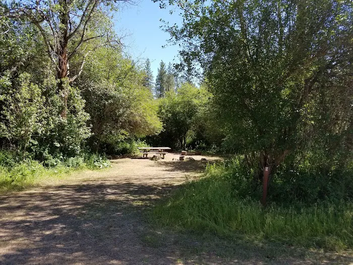 Dragoon Creek Picture 1