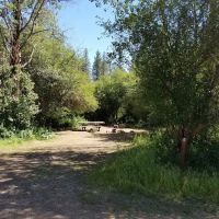 Dragoon Creek ico