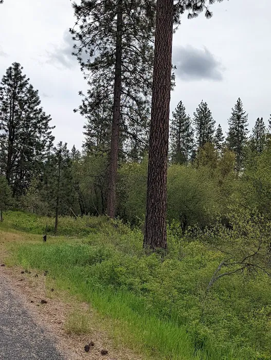Dragoon Creek Picture 4