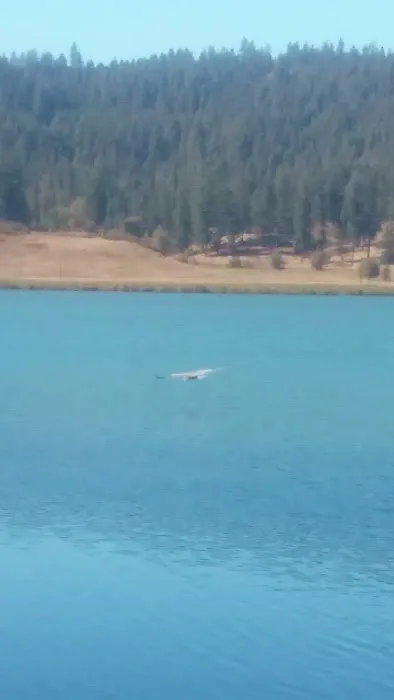 Jump Off Joe Resort & RV Park Picture 1