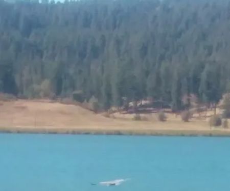 Jump Off Joe Resort & RV Park