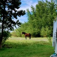 Willow Creek Retreat ico