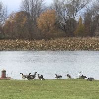 Cass Lake Mobile Home and RV Park ico