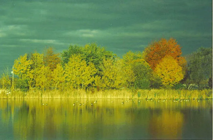 Cass Lake Mobile Home and RV Park Picture 2