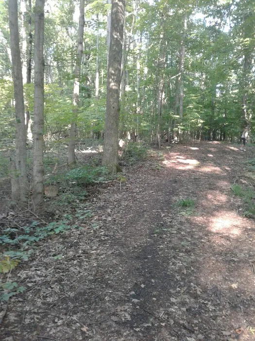 Lakeview Mobile Home Park Picture 7