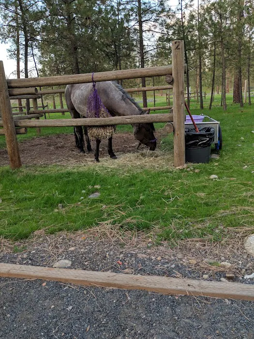 Riverside State Park - Equestrian Campground Picture 9
