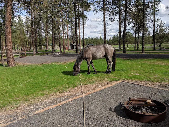 Riverside State Park - Equestrian Campground Picture 8
