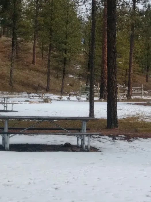 Riverside State Park - Equestrian Campground Picture 4