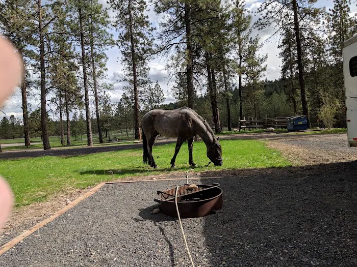 Riverside State Park - Equestrian Campground Picture 3