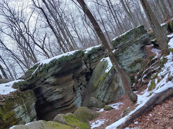 Nelson Ledge Estates Picture 3